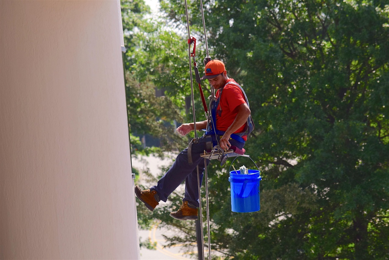 window washer, man, washer, cleaner, work, window, worker, clean, service, person, professional, job, occupation, window cleaner, business, window cleaning, elevated, cable, bucket, heights, building, trees, day time, green business, green work, green time, green building, green window, nature, green job, green company, green clean, green service